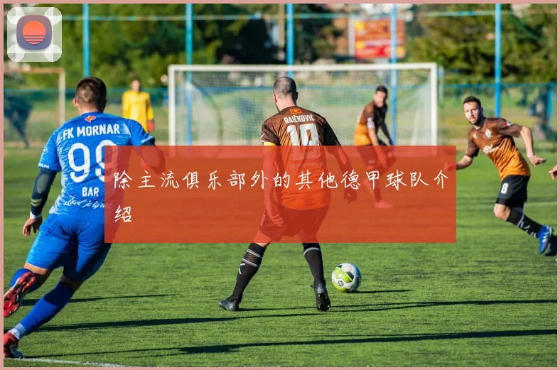 除主流俱乐部外的其他德甲球队介绍