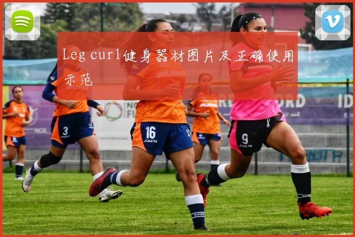 Leg curl健身器材图片及正确使用示范