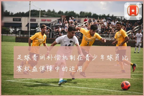 足球青训补偿机制在青少年球员比赛权益保障中的运用